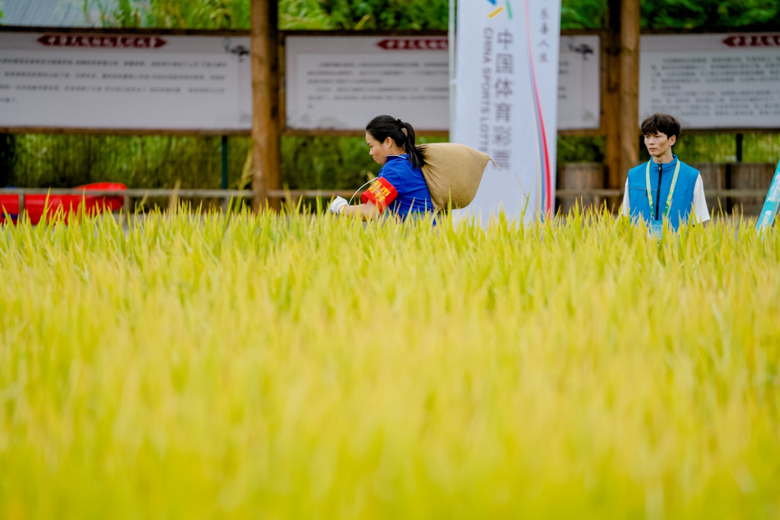 湖南博森体育管理有限公司